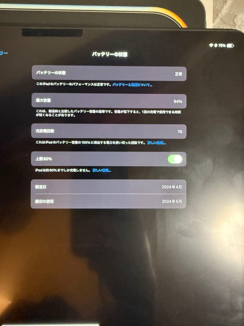 13インチiPad Pro(M4) 1TB ×Applepencil PRO