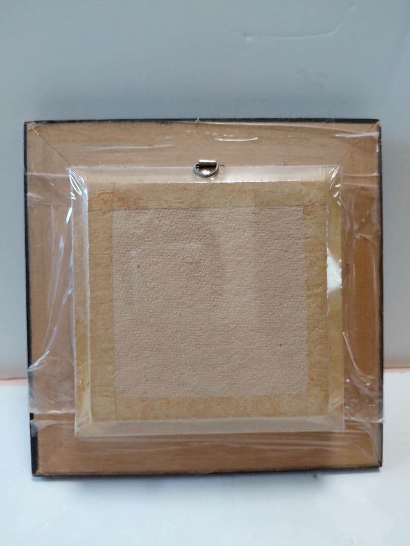 キプリスモルフォ蝶　コロンビア　壁掛け