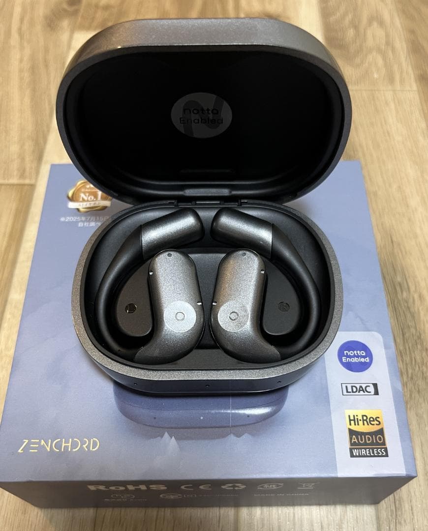 【美品】Zenchord 1（ゼンコード・ワン） AIイヤホン マルチバック付き