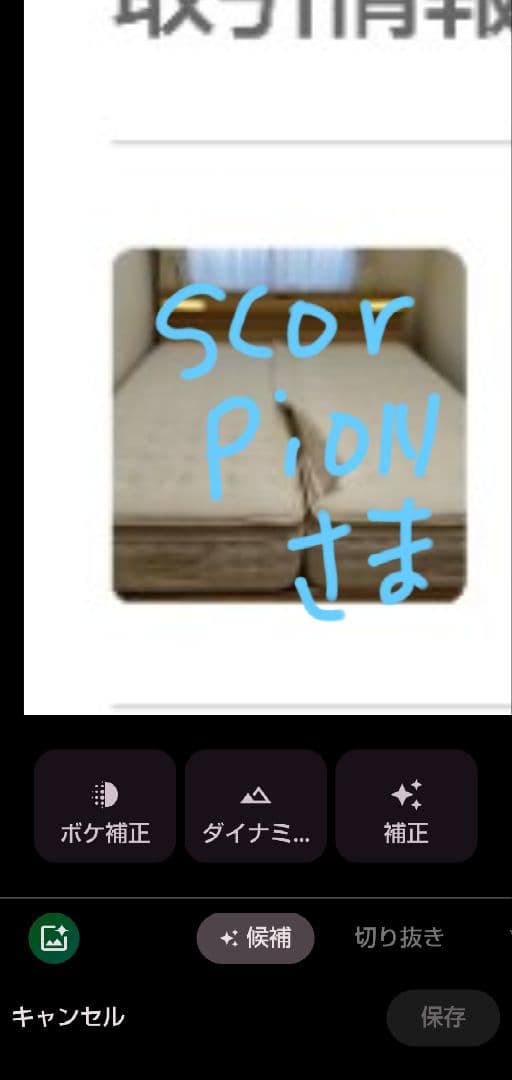 (SCORPION) クイーンベッドフレーム