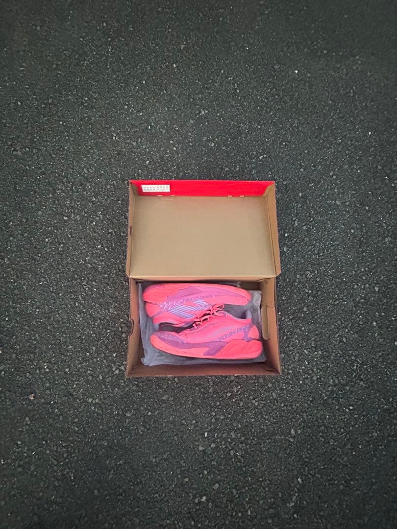 New Balance FuelCell TWO WXY v5 ピンク 29cm