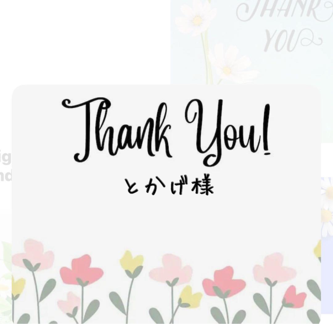 とかげ様 リクエスト 2点 まとめ商品