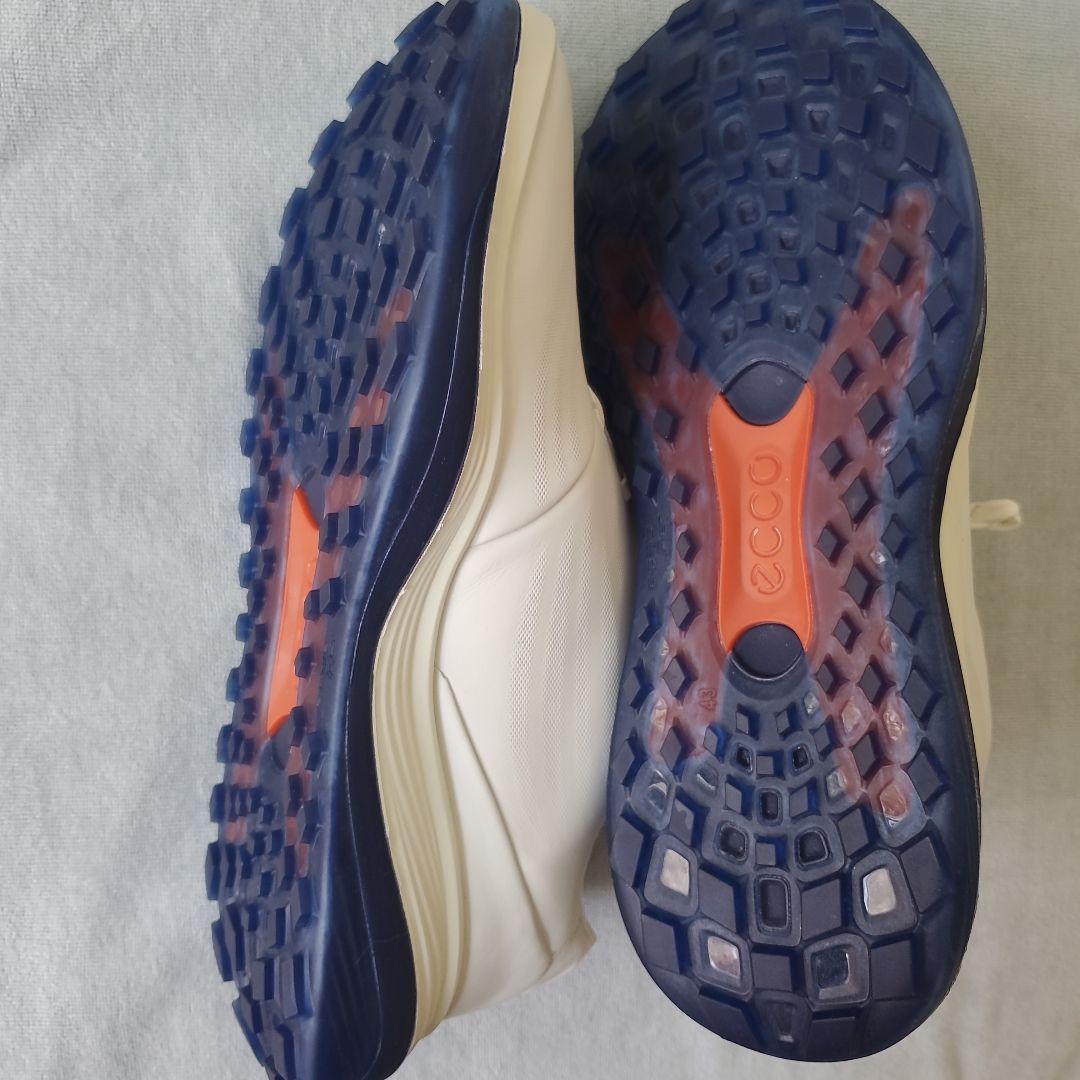 ecco ゴルフシューズ 43
