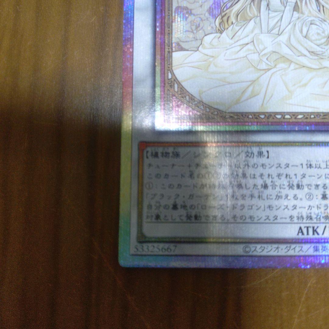 遊戯王　ガーデン・ローズ・メイデン　プリズマティックシークレットレア