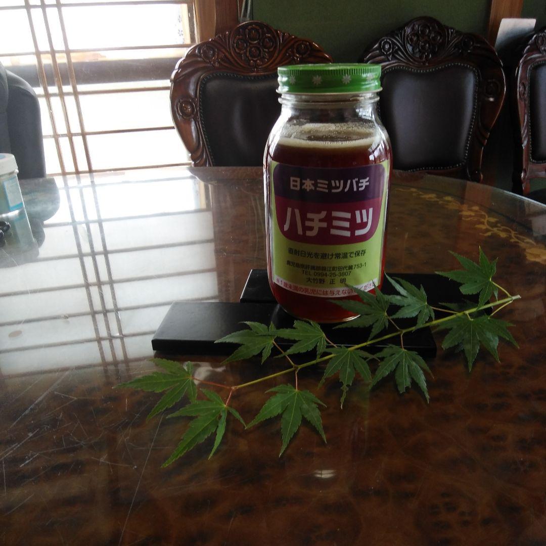 日本ミツバチはちみつ