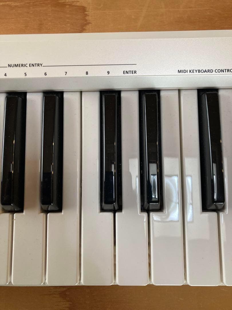 ローランド　Roland A49 ホワイト MIDIキーボード　電子ピアノ