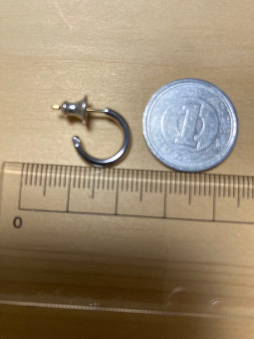 CAREERING｜PLACEBO（プラシーボ）ピアス　101