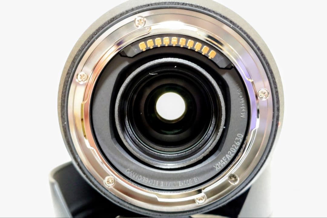 LUMIX S 28-200ｍｍ F4-7.1 MACRO O.I.S