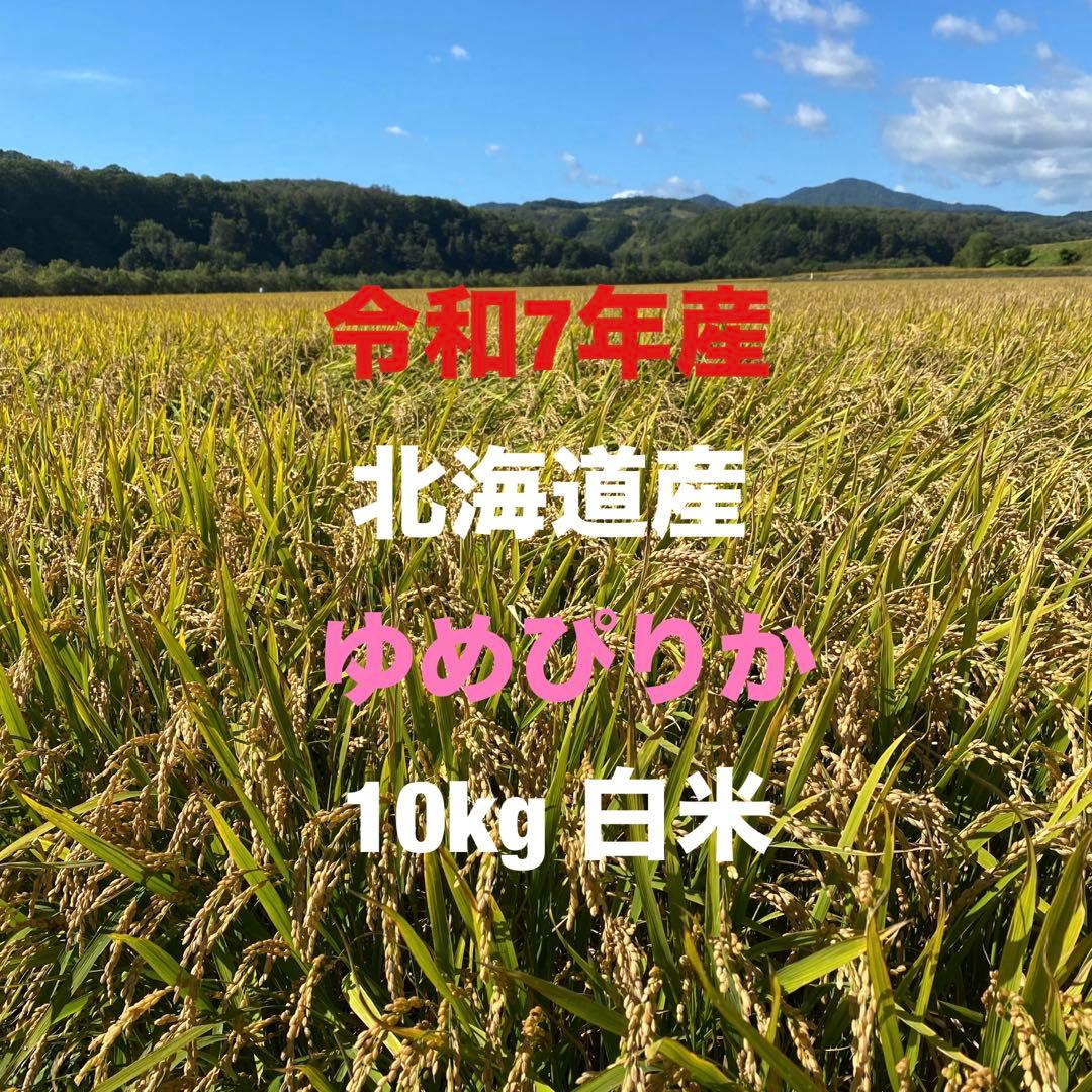 北海道産ゆめぴりか10kg白米