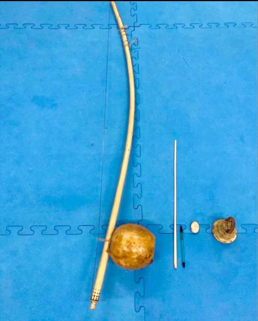 子供用ベリンバウ　カポエイラ民族楽器