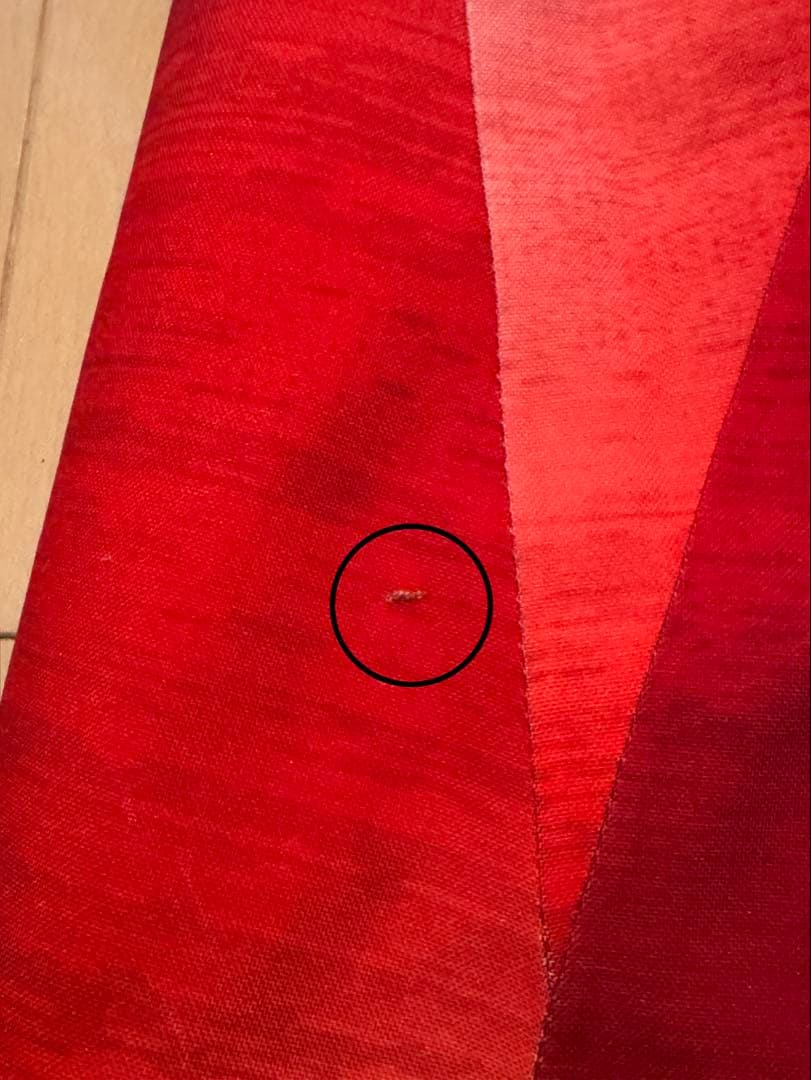 フェニックス　スキーウェア上下セット　中古　Phenix Team Pro