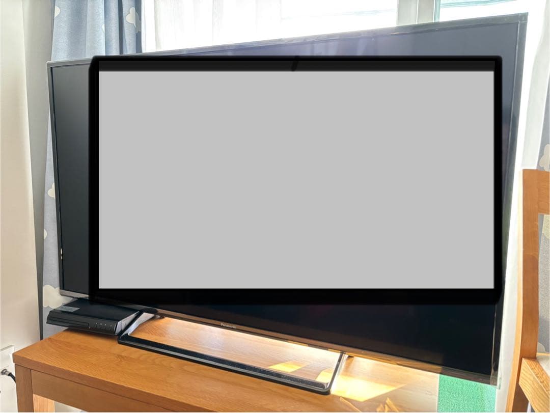 ちゃんミウ　Panasonic TH-49DX600 49インチ液晶テレビ