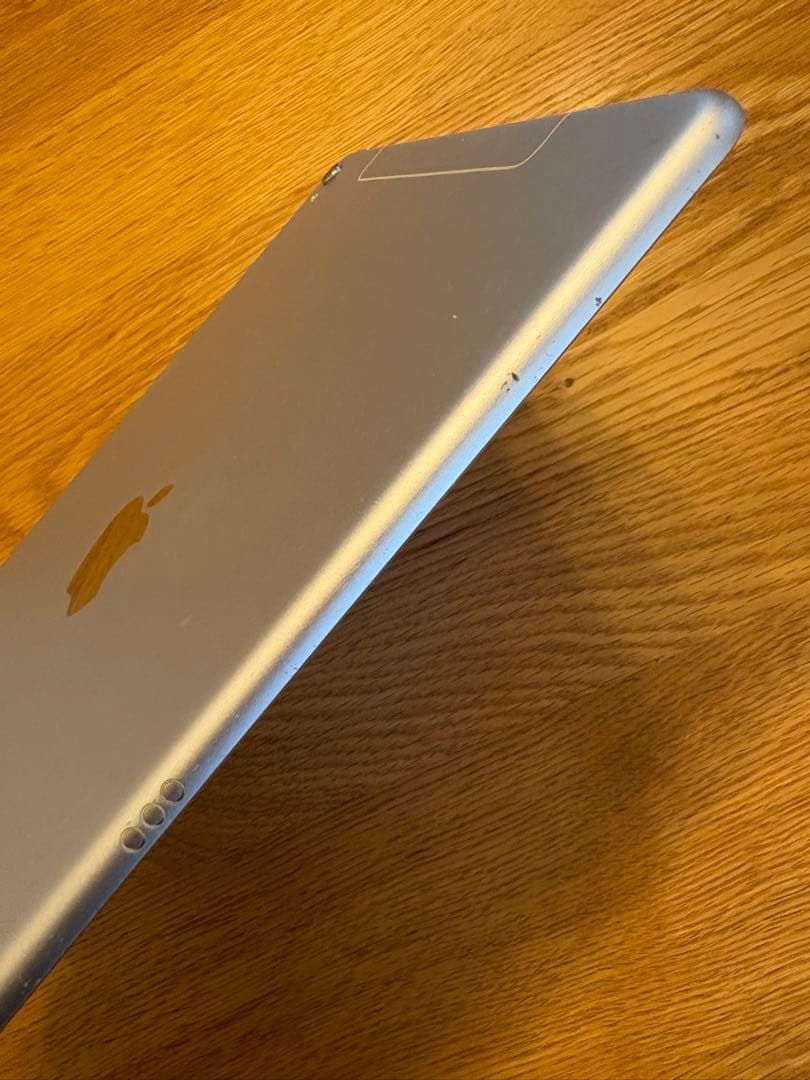 Apple iPad Pro 9.7インチ　本体　ケース付き