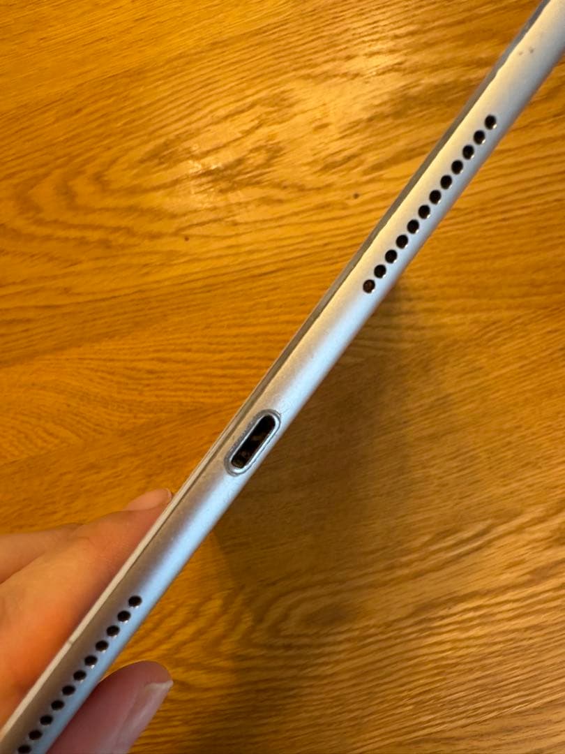 Apple iPad Pro 9.7インチ　本体　ケース付き