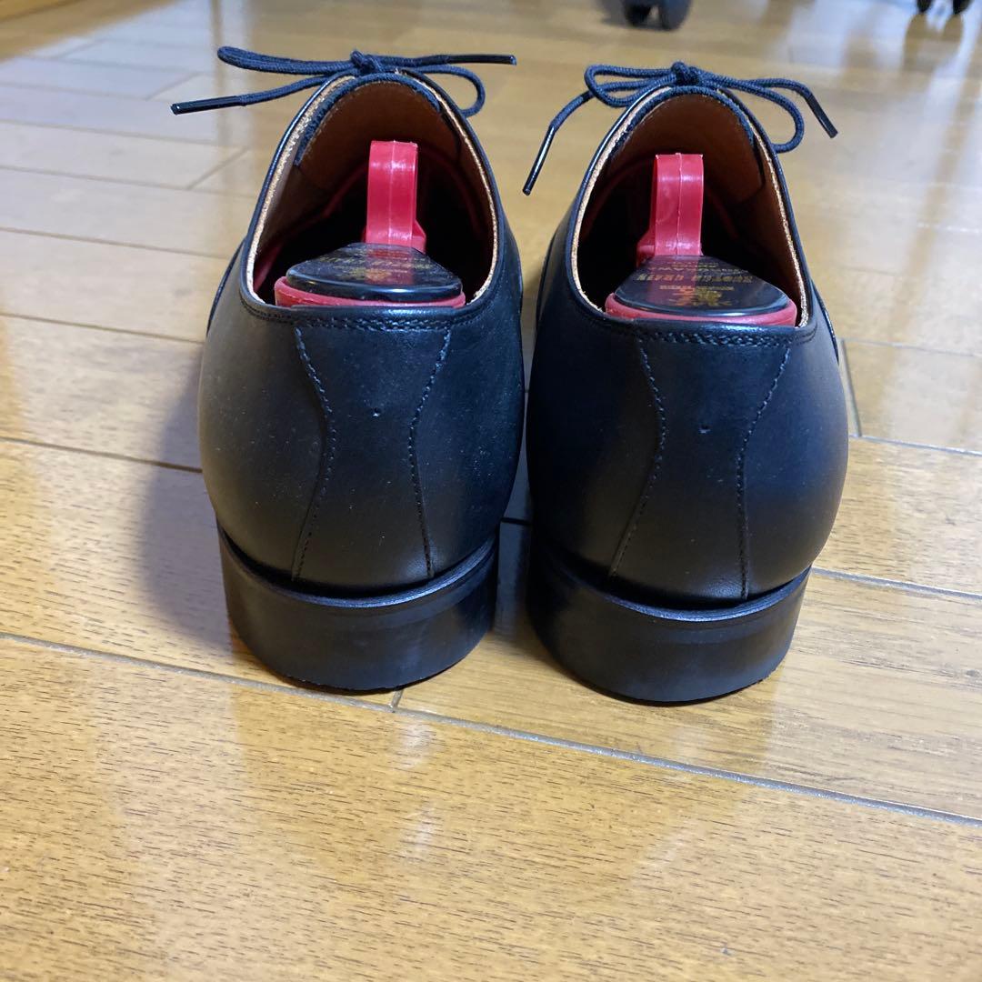 スコッチグレイン　シャインオアレイン　23.5