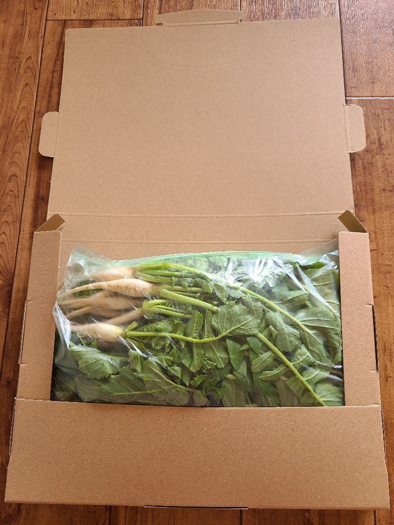 大根　大根菜　大根葉　野菜　300㌘～