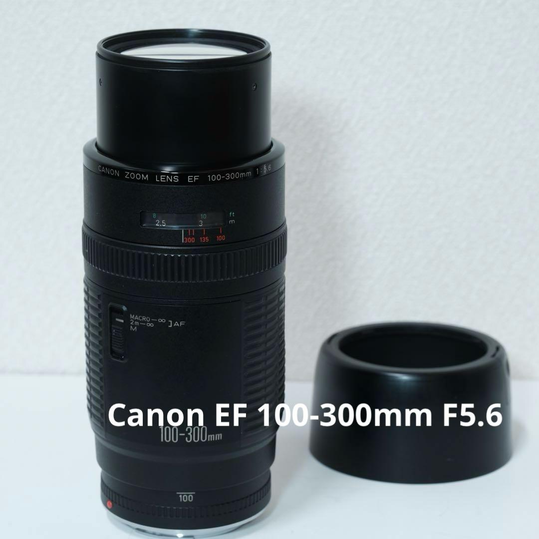 Canon EF 100-300mm F5.6 レンズ