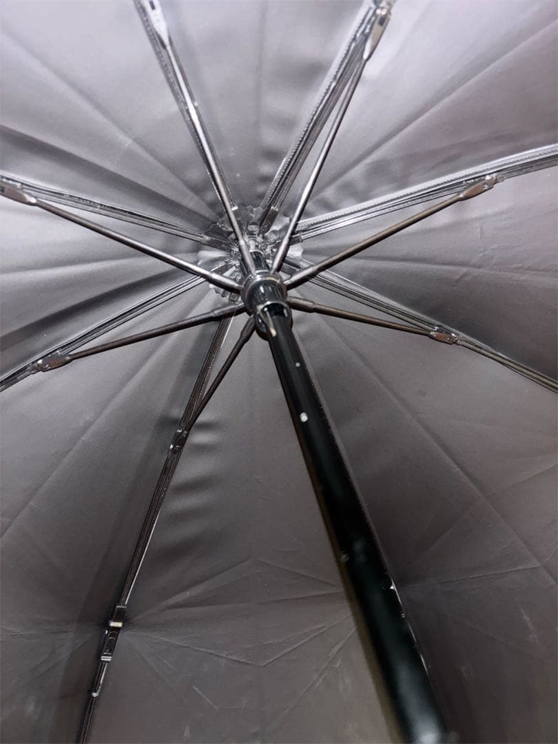 SUN BERRIER100 100 折りたたみ日傘２段折 フリル / フロスト