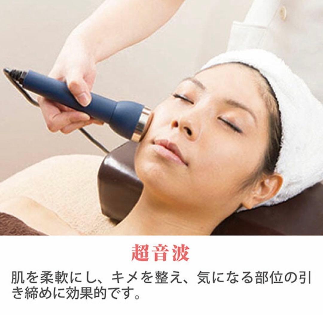 5 in 1 美顔器・美容器 ソニア複合機