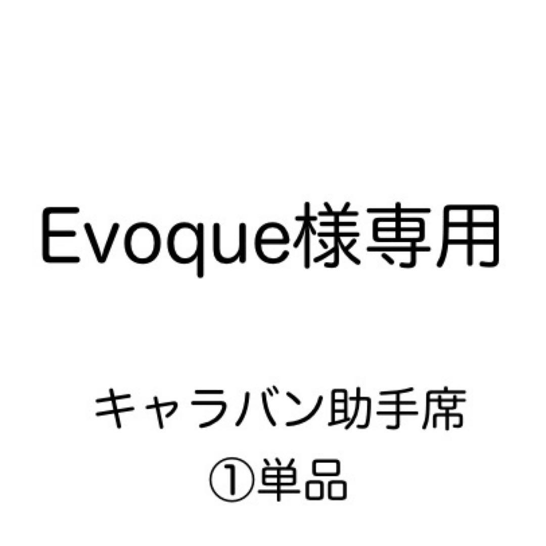 [専用出品]Evoque