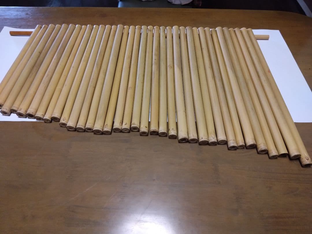 女竹　35本セット