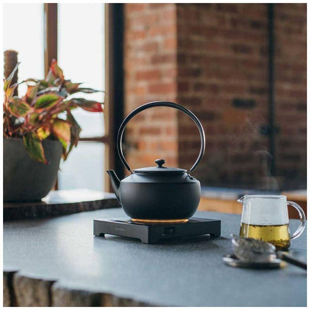 新品 BALMUDA ムーンケトル【KPT02JP-BK】0.9L 電気ケトル