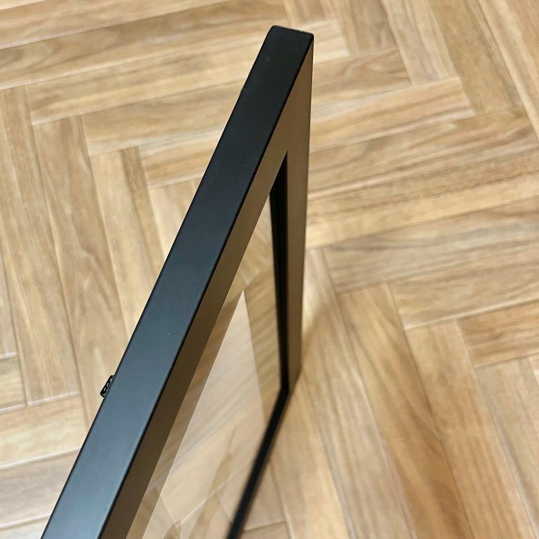 エイリアン 猫のジョーンズ シルクスクリーンアート