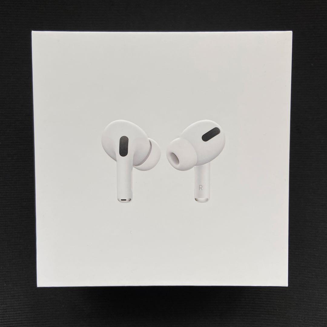ム*シ様 AirPods Pro 2 【説明必読】