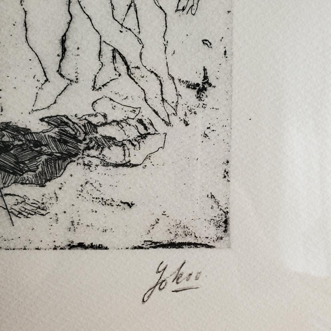 横尾忠則 リトグラフ 夢シリーズ 海底の死 銅版画 直筆サイン 限定20部 額装