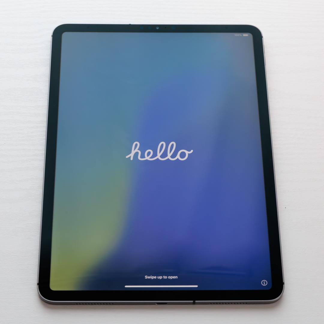 iPad Pro 11インチ 第1世代 256GB セルラーモデル
