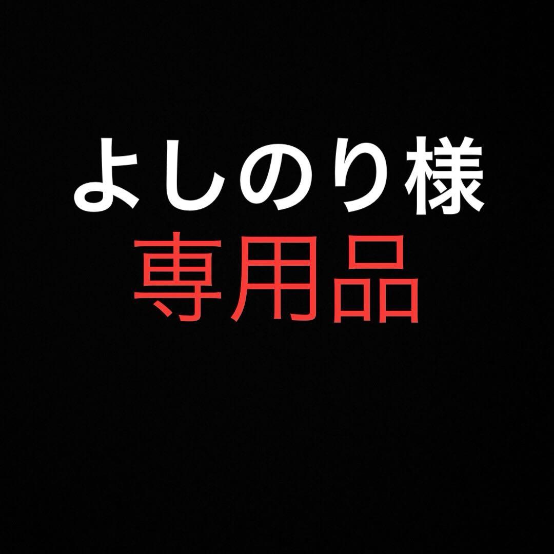 Lサイズ！ENGINEERED GARMENTS カバーベスト