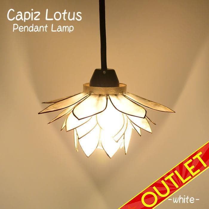 ioi24 訳あり カピス ロータス ホワイト オレンジの２個 F-77