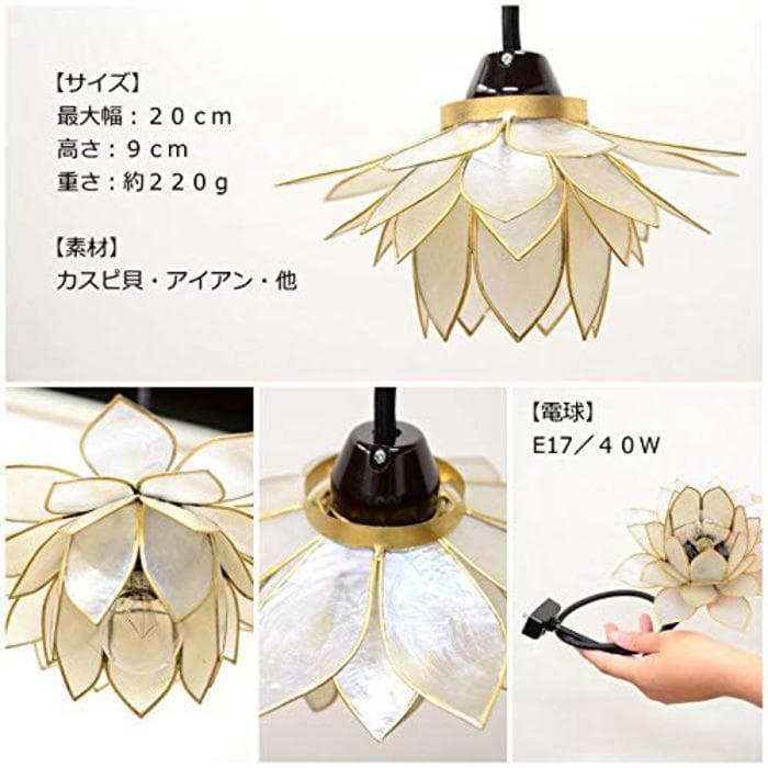 ioi24 訳あり カピス ロータス ホワイト オレンジの２個 F-77