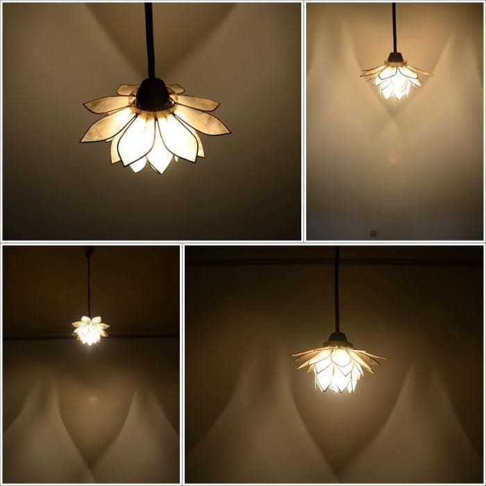 ioi24 訳あり カピス ロータス ホワイト オレンジの２個 F-77