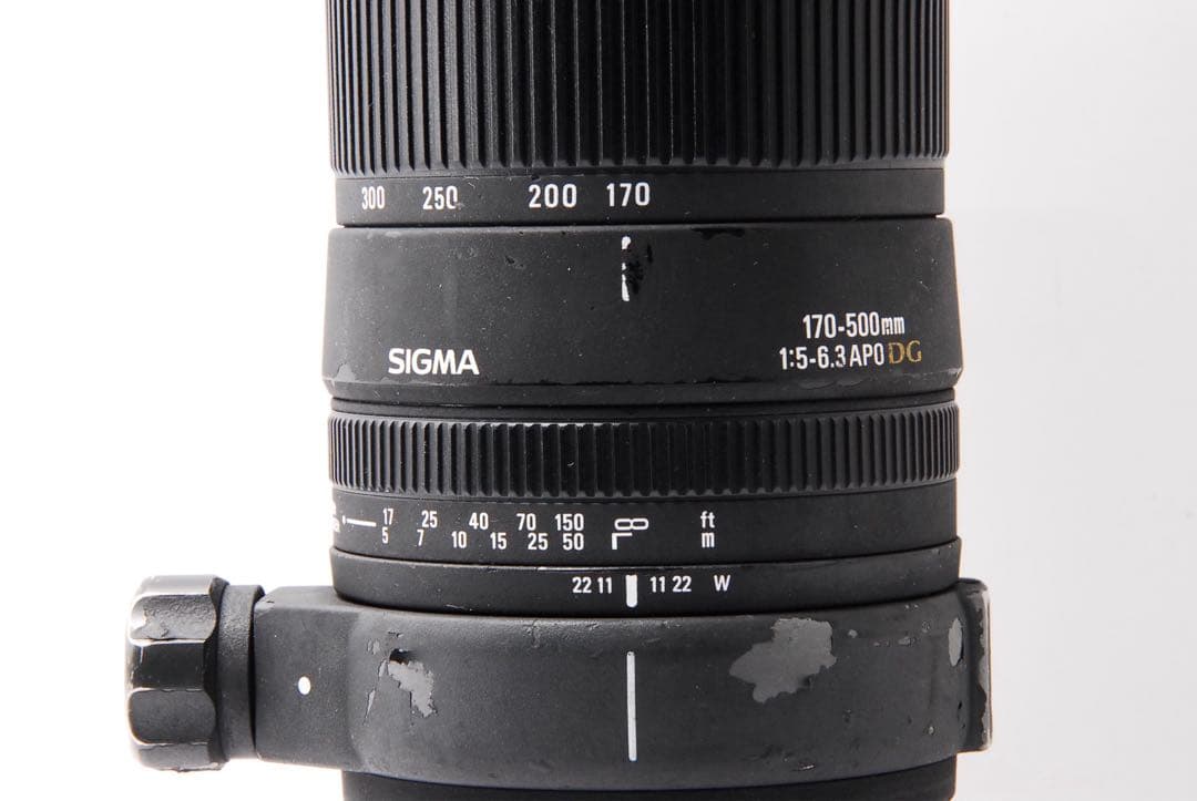 超望遠の世界へ！SIGMA APO 170-500mm F5-6.3 一眼レフ