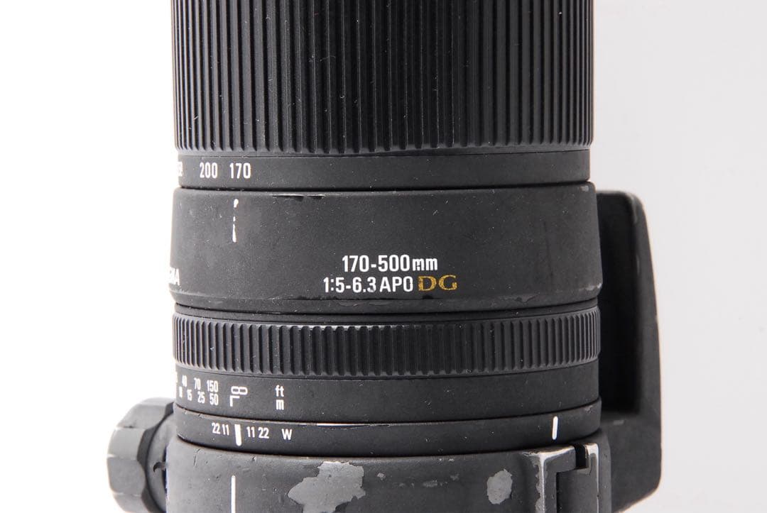 超望遠の世界へ！SIGMA APO 170-500mm F5-6.3 一眼レフ