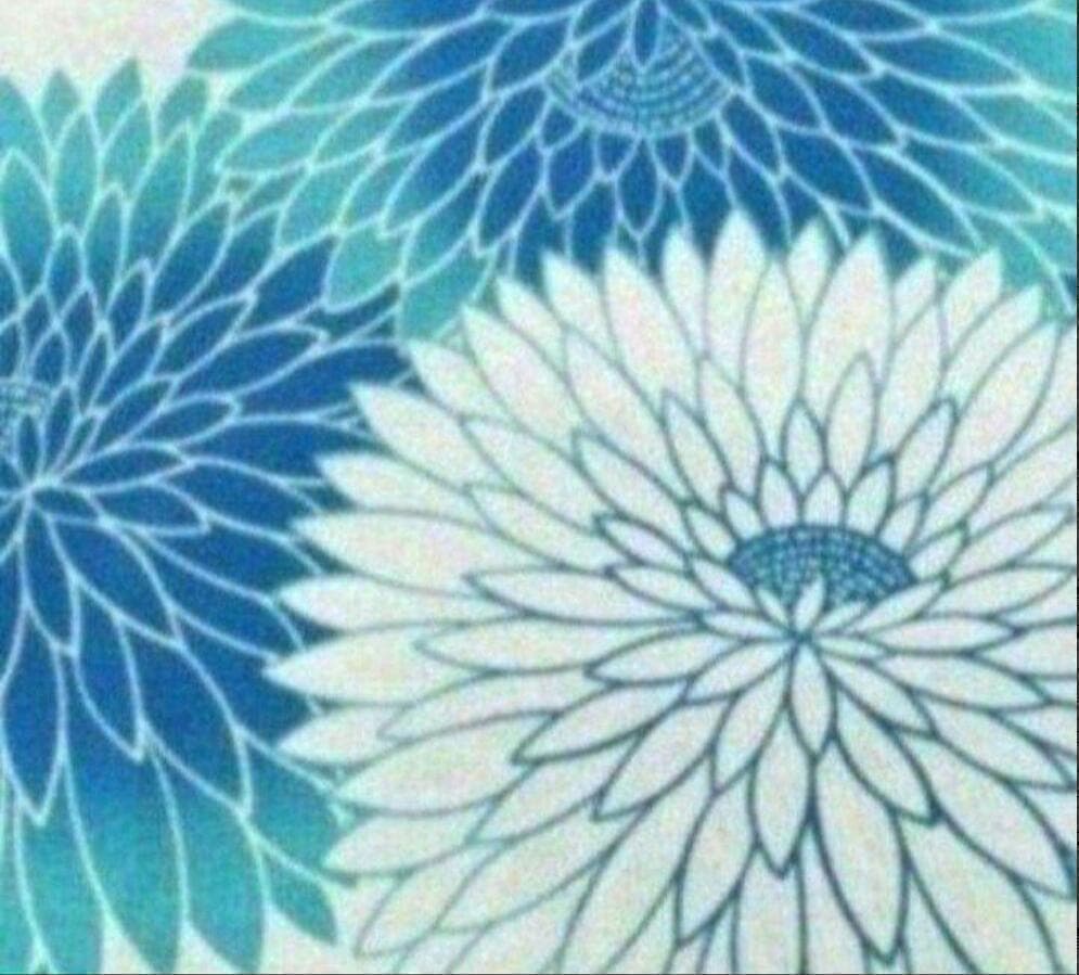 画像の帯つき【雑誌掲載】上品高貴な丸菊づくし涼し流水色浴衣◆