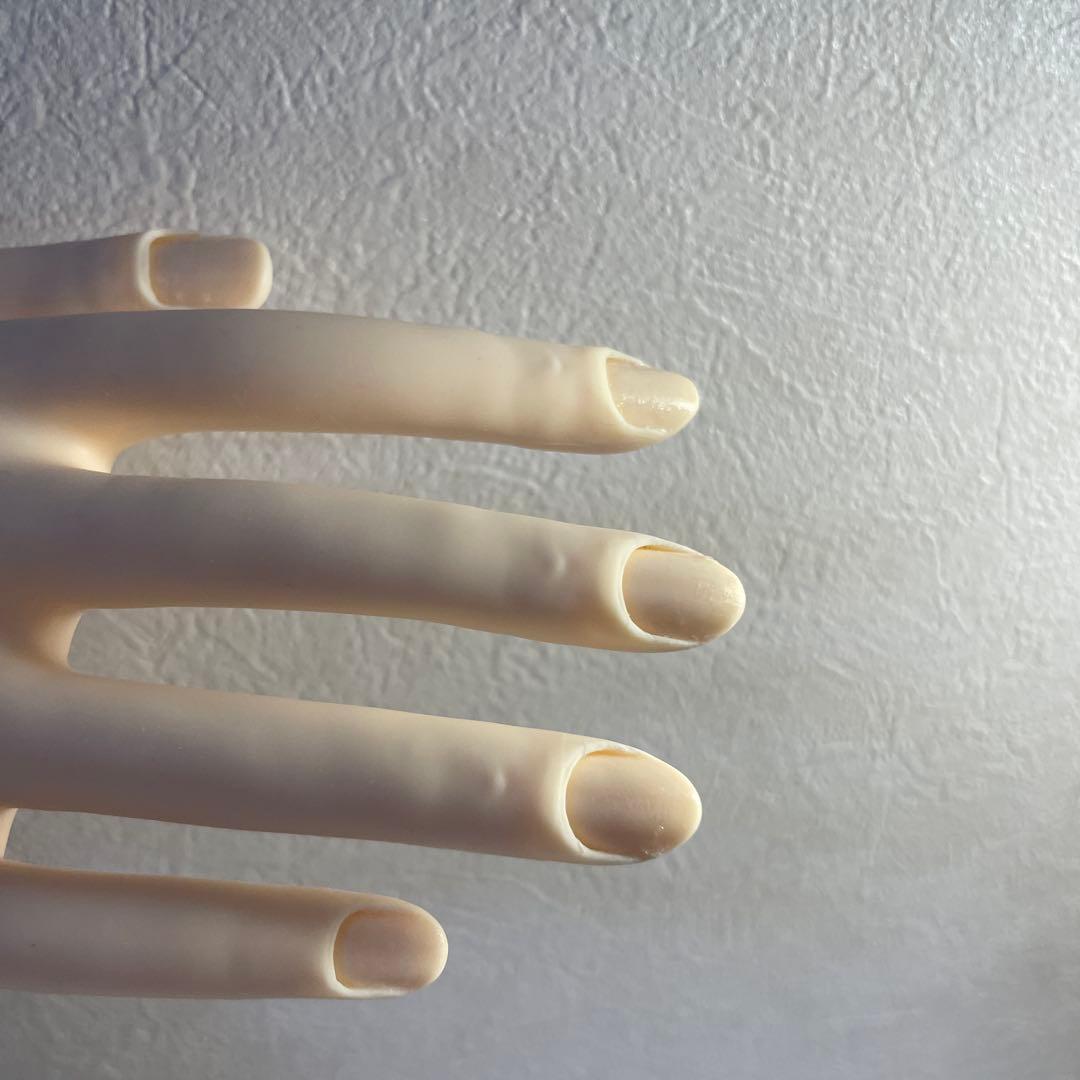 ネイル検定用ハンド