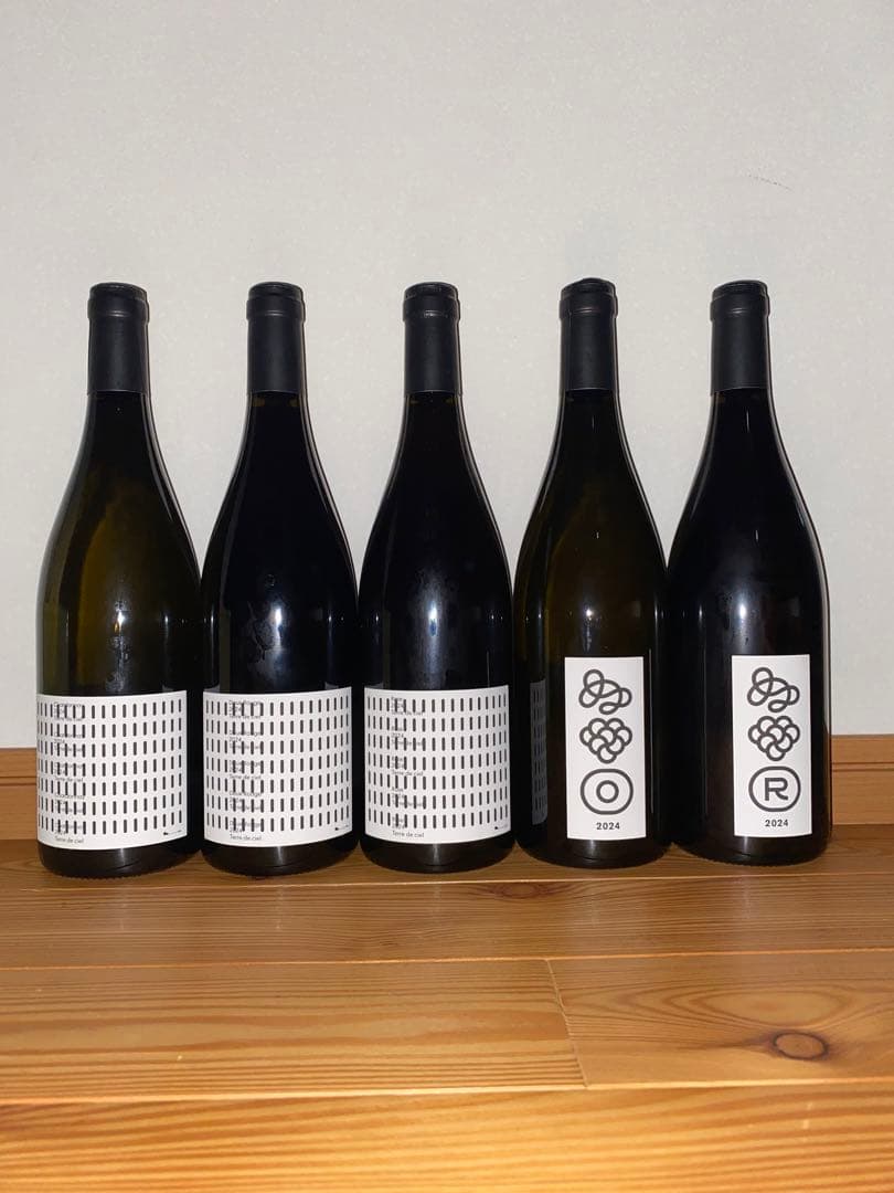 日本ワイン　長野ワイン　テールドシエル5本セット