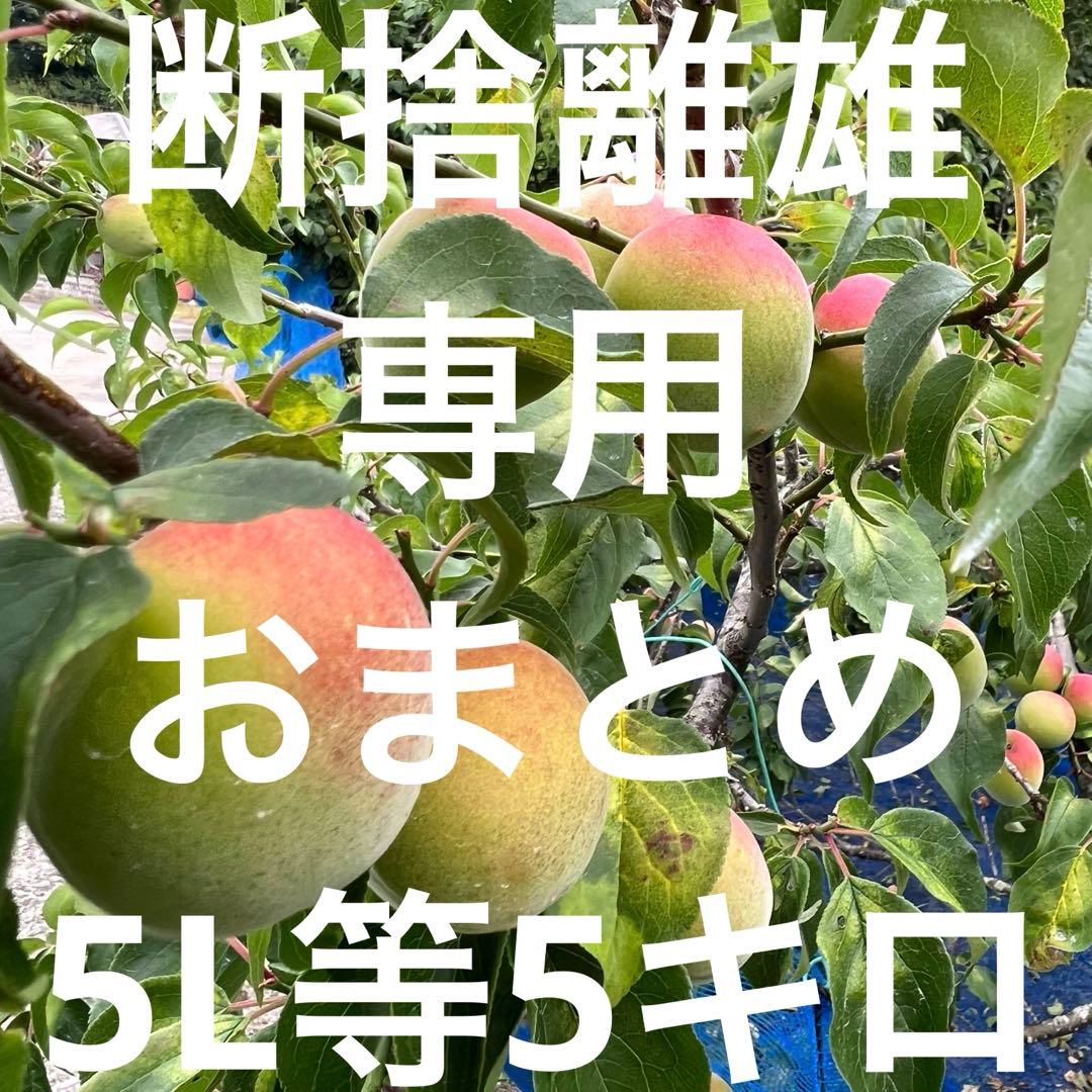 専用出品です。