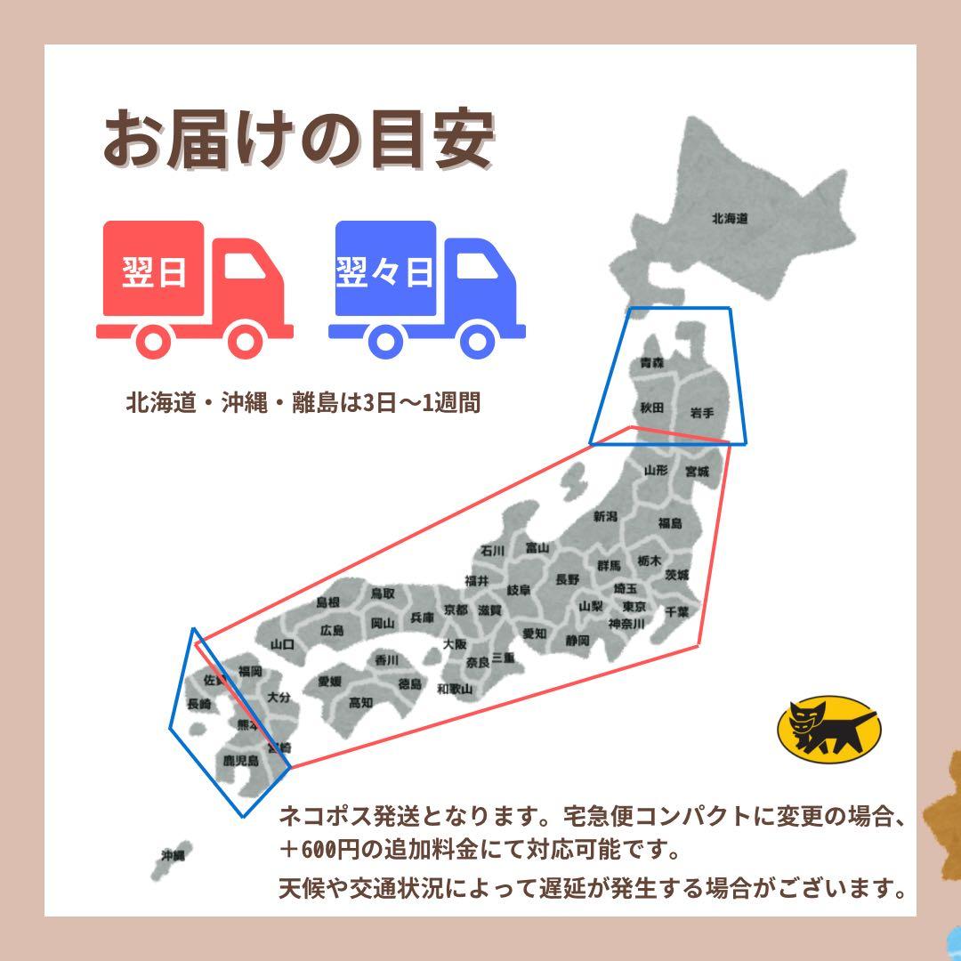 未使用　iPad10 第10世代　256 GB Wi-Fi シルバーpencil