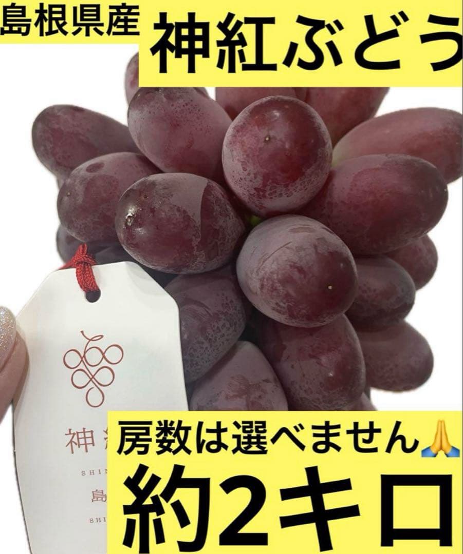 ②【島根県産】神紅(しんく)ぶどう約2キロ(3〜4房)