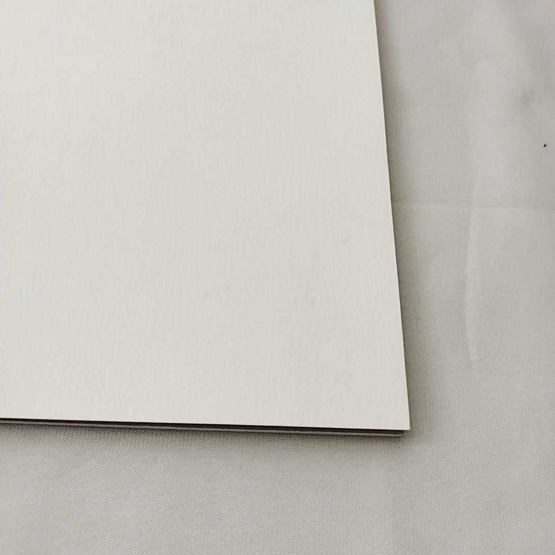 TYPE-MOON　月姫読本(白本)　奈須きのこ　希少品