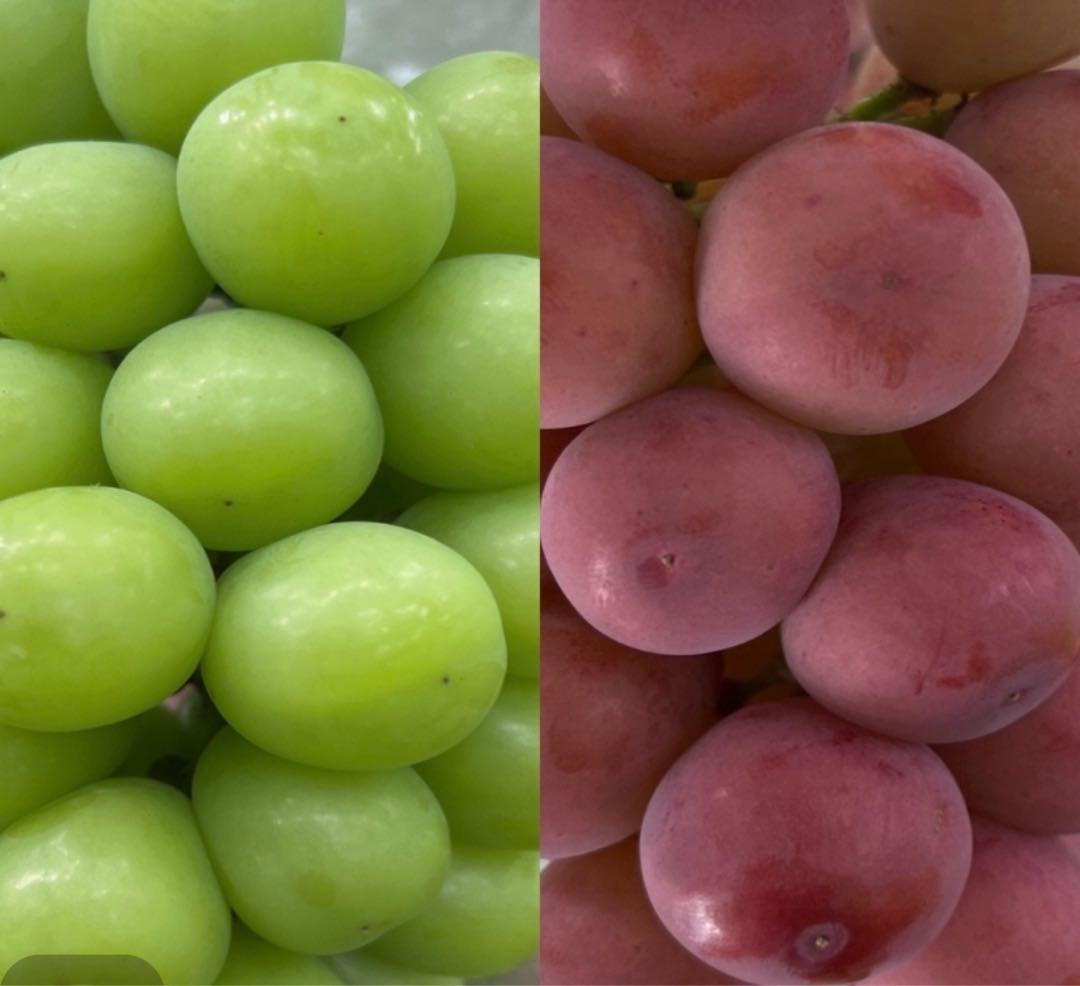 hatchshoopさん専用