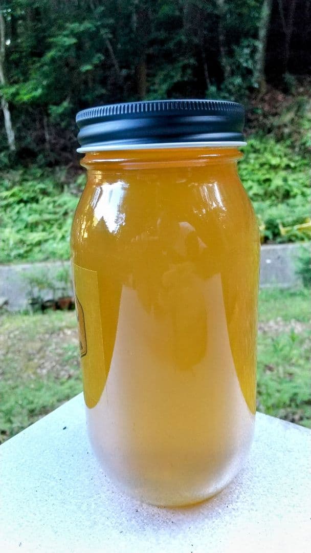 はちみつ 2kg 国産 天然 純粋 生蜂蜜 2000g 【養蜂家直送】6月新蜜