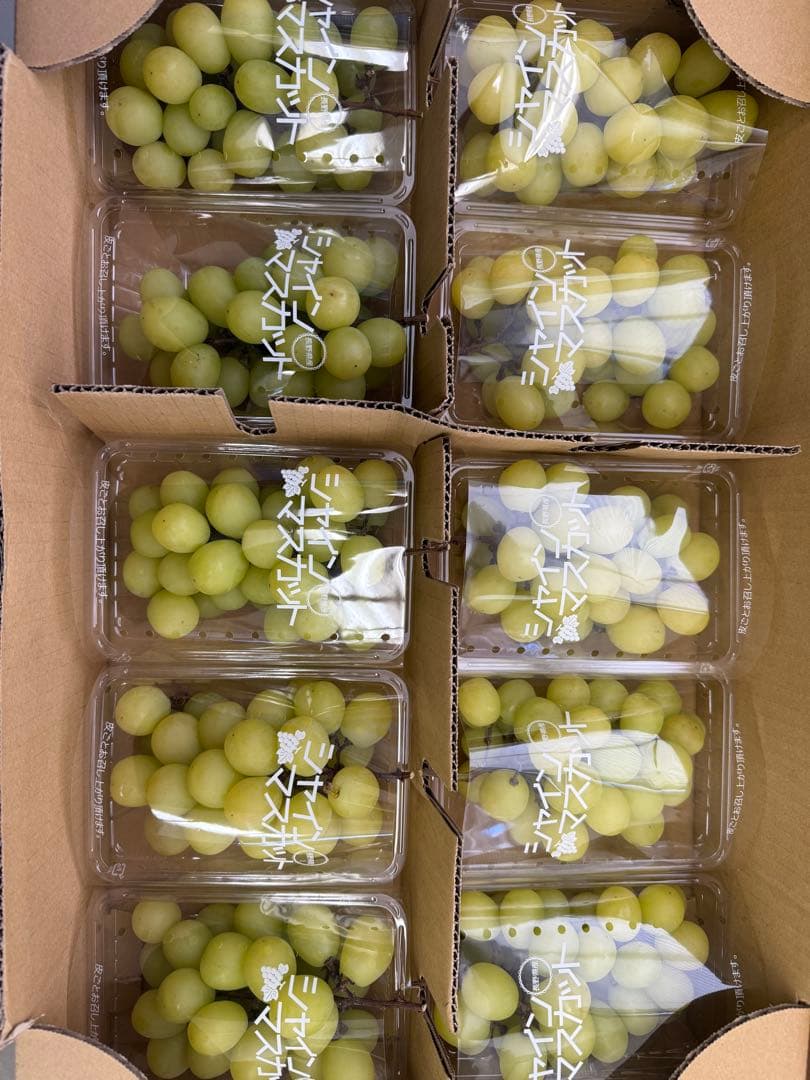 シャインマスカット 中10房 専用ページ