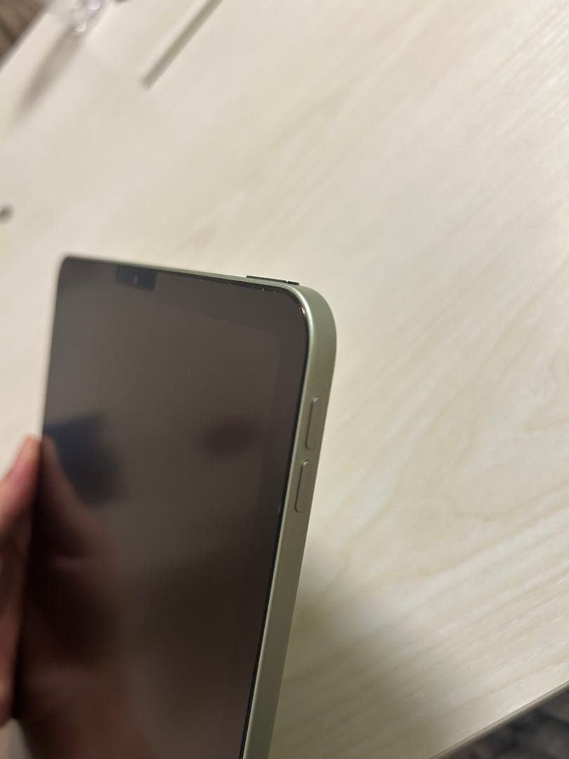 iPad Air (第4世代) WiFi グリーン 256GB 外箱＆ケーブル付