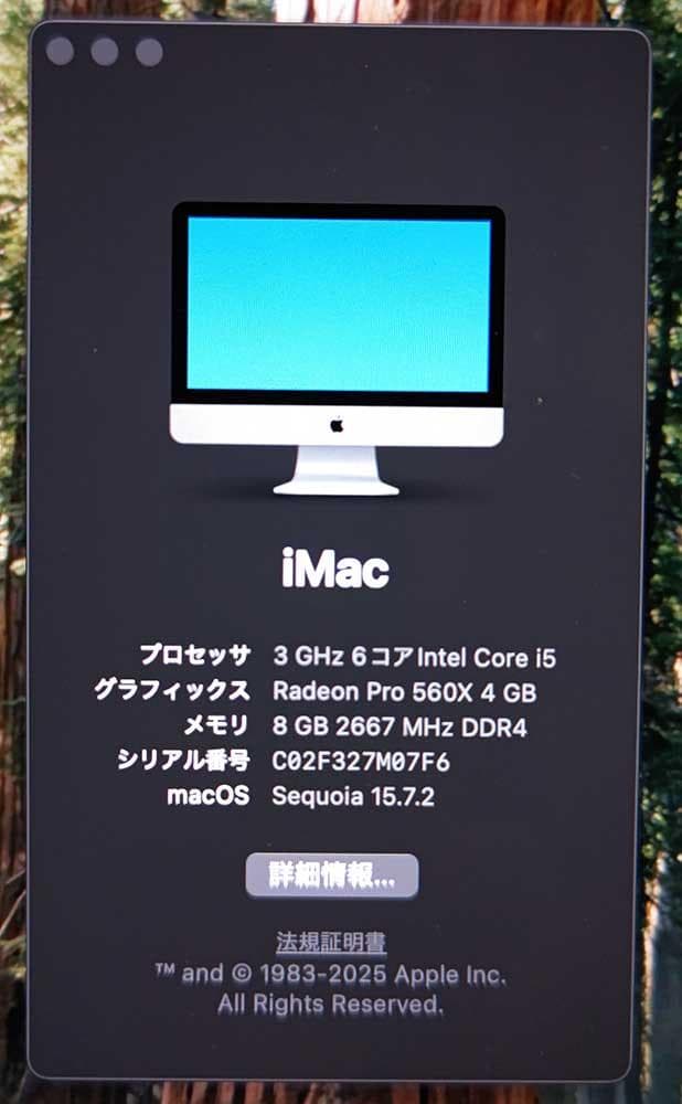 iMac 2019 21.5 4K 3GHz 6コア i5 8GB 1.03TB
