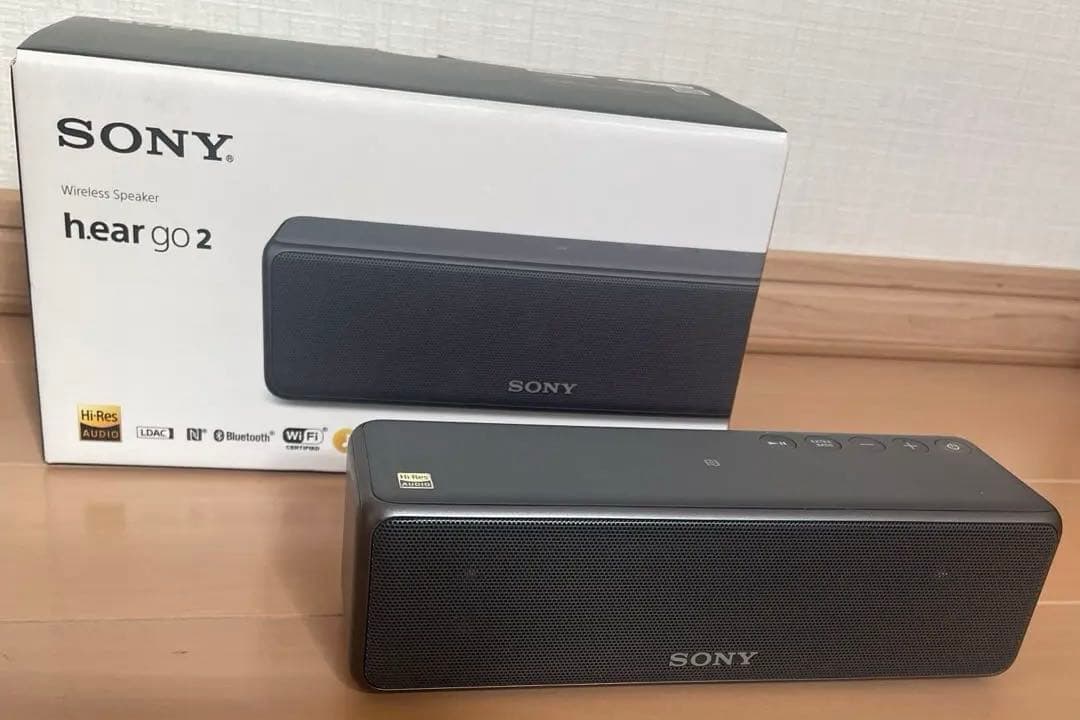 SONY SRS-HG10 h.ear go 2 グレイッシュブラック