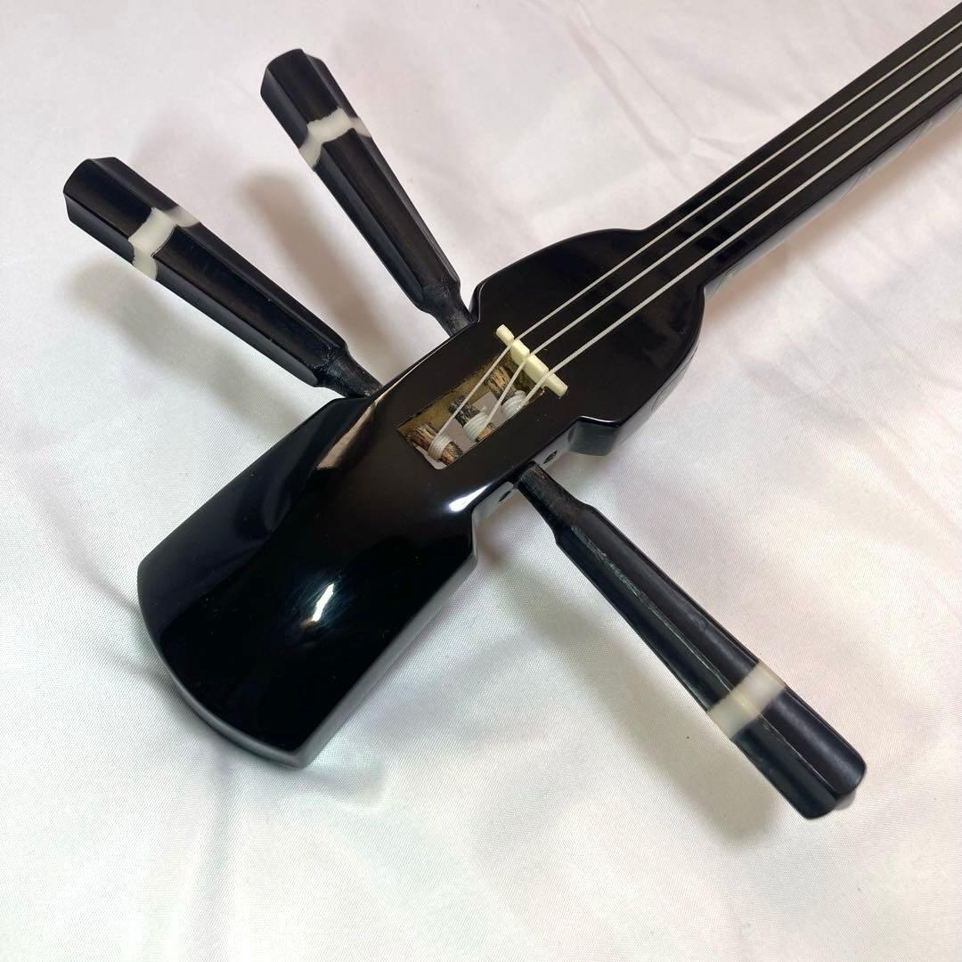 【美品】三線 沖縄 初心者 人工皮 蛇革 蛇皮 収納袋 付属品 DVD 和楽器